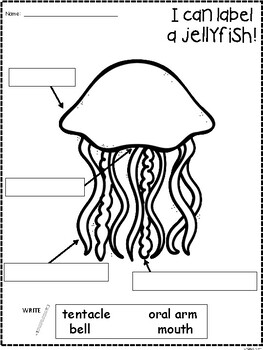 A+ Jellyfish Labels by Regina Davis | Teachers Pay Teachers