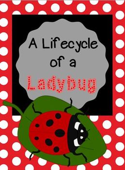 Preview of A Ladybug's Life Cycle (a cross-curricular unit)