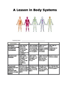 Preview of A Lesson in Body Systems Rubric