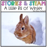 Stories & STEAM: A Little Bit of Winter Book Companion