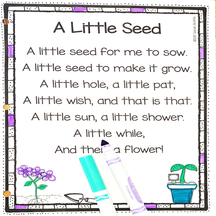 A Little Seed - Printable Flower Poem for Kids by Sarah Griffin | TpT