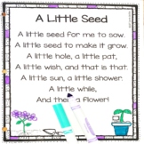A Little Seed | Spring Flower Poem for Kids