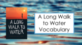 A Long Walk to Water Vocabulary Slides