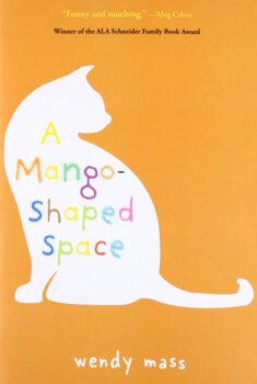 Preview of A Mango-Shaped Space Complete Novel Unit