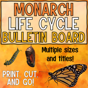 Preview of A Monarch Butterfly Life Cycle - Bulletin Board Display