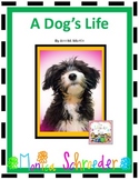 Novel Study: A Dog's Life