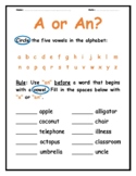 A OR AN?? - POWERPOINT & 2 SETS OF WORKSHEETS