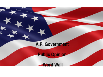 Preview of AP Government Word Wall: Public Opinion