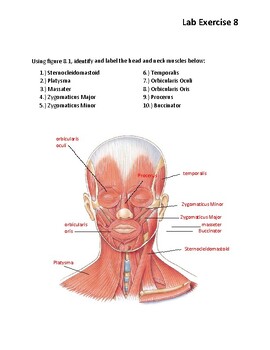 Lab Exercise 8