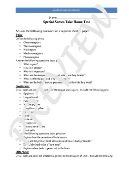 Preview of A&P Nervous System - Special Senses Take Home Test and Answer Key