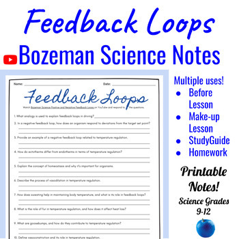 Preview of A&P Positive and Negative Feedback Loop Comprehensive Worksheet Bozeman Science
