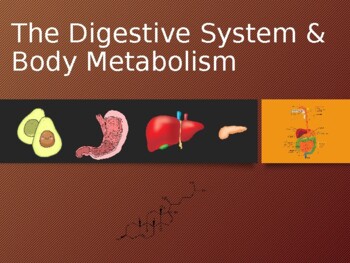 Preview of A & P PowerPoint: The Digestive System, Nutrition, and Metabolism