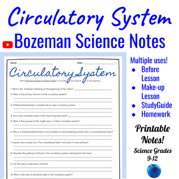 Preview of A&P The Circulatory System Comprehensive Worksheet | Bozeman Science