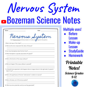 Preview of A&P The Nervous System Comprehensive Worksheet | Bozeman Science