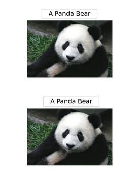 Preview of A Panda Bear Emergent Reader