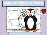 A+ Penguin: Label The Parts Of The Penguin