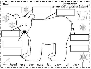 A+ Polar Bear: Label The Polar Bear by Regina Davis | TpT