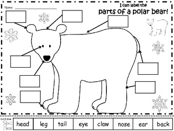 A+ Polar Bear: Label The Polar Bear by Regina Davis | TpT