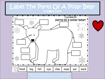 a polar bear label the polar bear by regina davis tpt