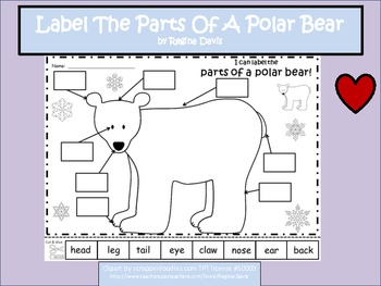 Preview of A+ Polar Bear: Label The Polar Bear