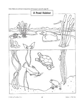 pond habitat coloring pages