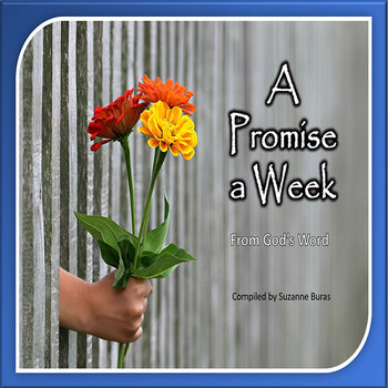 Preview of A Promise a Week
