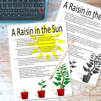essay prompts raisin in the sun