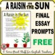 essay prompts a raisin in the sun