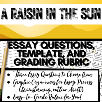 Preview of A RAISIN IN THE SUN (Hansberry) | Play Study Final Unit Test | Essay Writing