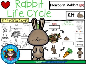 The Life Stages of a Rabbit — Westley's World