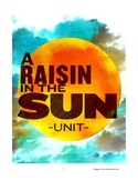 "A Raisin in the Sun" Complete Unit