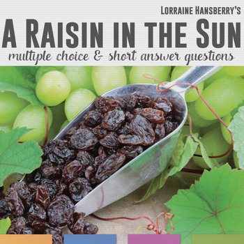 Preview of A Raisin in the Sun Multiple Choice and Comprehension Questions