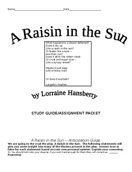 Preview of A Raisin in the Sun Novel Packet