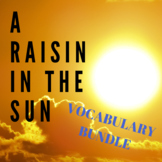 A Raisin in the Sun- Vocabulary Bundle