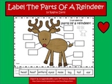 A+ Reindeer: Label The Parts Of A Reindeer