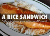 A Rice Sandwich by Sandra Cisneros Comprehensive Worksheet