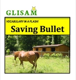 VOCABULARY IN A FLASH short story: SAVING BULLET (Lexile 860)