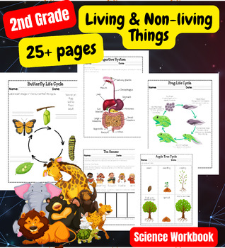 Preview of A Second-Grade Workbook on Living And Nonliving Things - 2nd -Science Worksheets