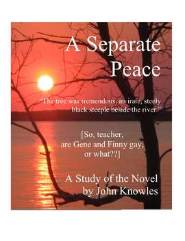 Preview of A Separate Peace Close Reading Study Guide, 31 Pages, Answer Keys