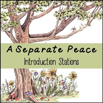 Preview of A Separate Peace Introduction Stations: A Fun Way to Introduce the Novel!