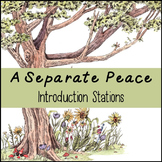 A Separate Peace Introduction Stations: A Fun Way to Intro