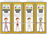 A Set of 24 HUMAN BODY SYSTEMS Bookmarks (skeletal, digest