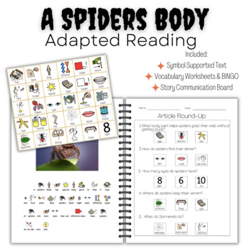 Preview of A Spiders Body | Symbol Supported Reading