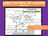 A+ Spiders:  Label The Parts Of A Spider