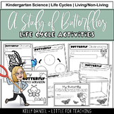 A Study of Butterflies | Kindergarten Science | Life Cycles