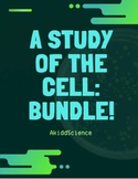 A Study of the Cell