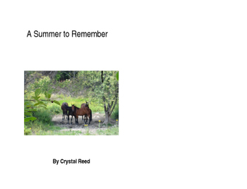 Preview of A Summer to Remember--chapter book for reading comprehension