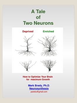 Preview of A Tale of Two Neurons