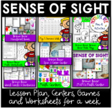 A Theme-a-Month: The 5 Senses