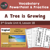 A Tree is Growing Vocabulary PowerPoint  - Aligned w/ Journeys